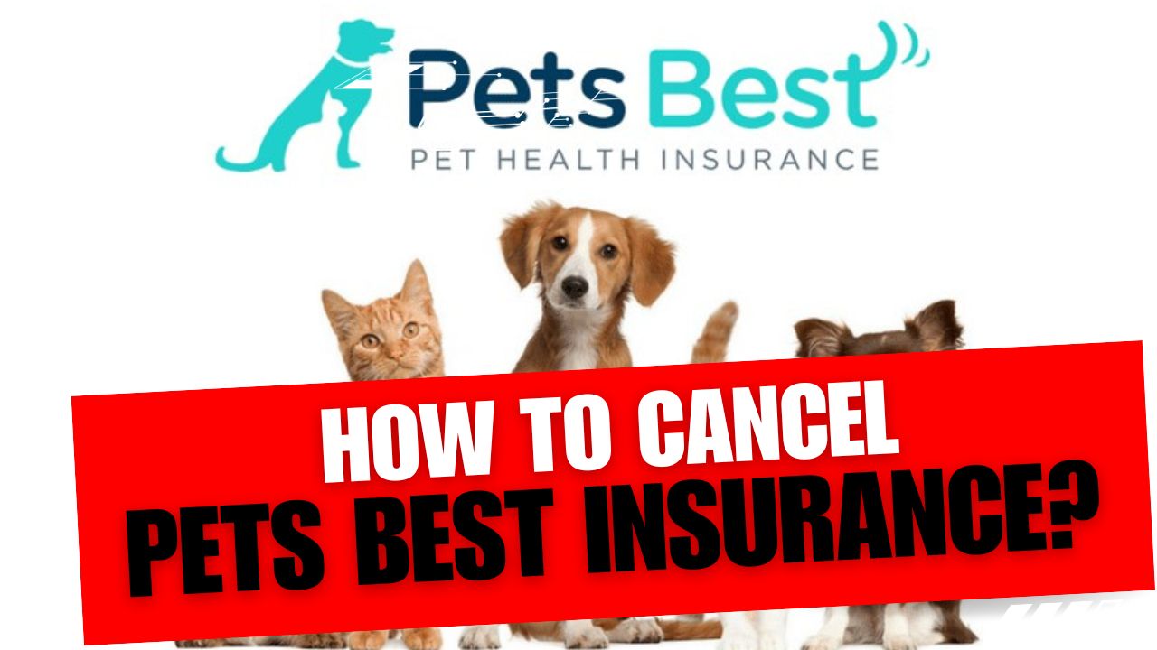 How To Cancel Pets Best Insurance