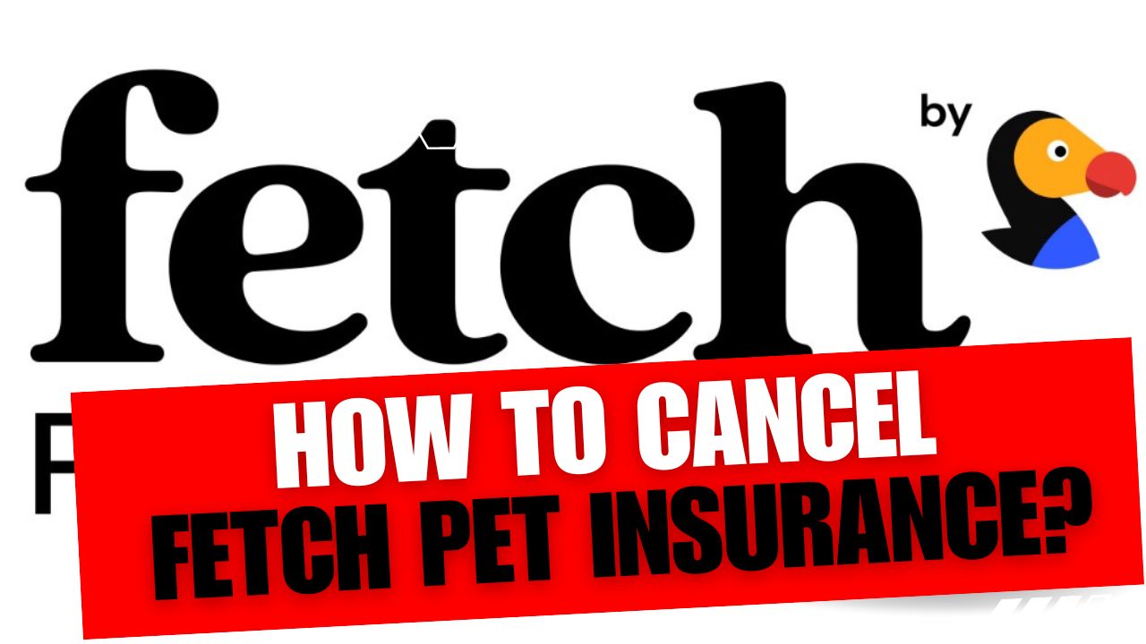 How To Cancel Fetch Pet Insurance
