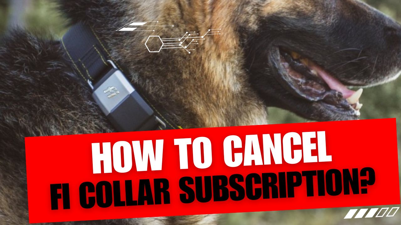 How To Cancel Fi Collar Subscription